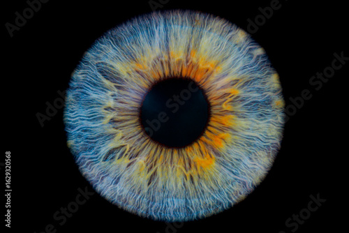 blue eye on black background