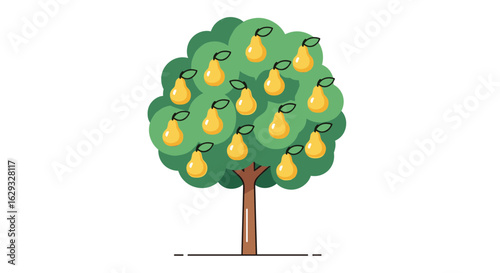 A fully grown pear tree laden with freshly ripened yellow fruit in a lush green orchard setting on a sunny day
