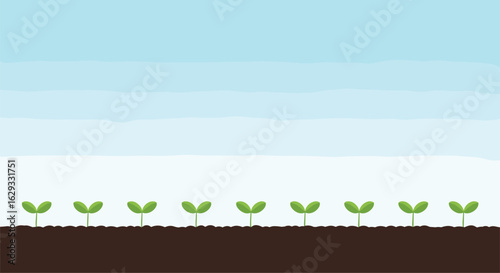 Rows of tiny green seedlings sprouting from dark rich soil under a clear pale blue sky