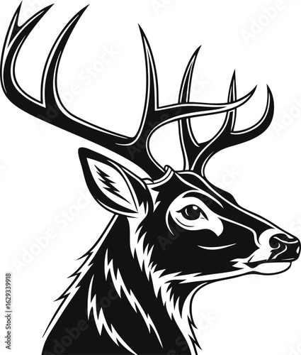 Deer Head Isolated on White Background – Realistic Wildlife Taxidermy, Animal Trophy Wall Mount, Stag Antlers, Forest Animal Portrait for Nature, Hunting, Rustic, or Cabin Decor Concepts

