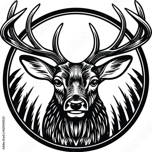 Deer Head Isolated on White Background – Realistic Wildlife Taxidermy, Animal Trophy Wall Mount, Stag Antlers, Forest Animal Portrait for Nature, Hunting, Rustic, or Cabin Decor Concepts


