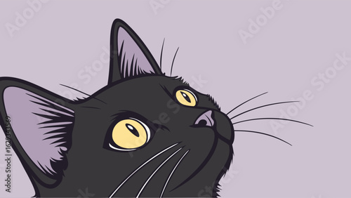 Curious Black Cats Head Closeup.