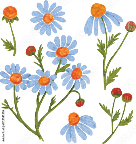 Botanical flower and trees illustration  Vector