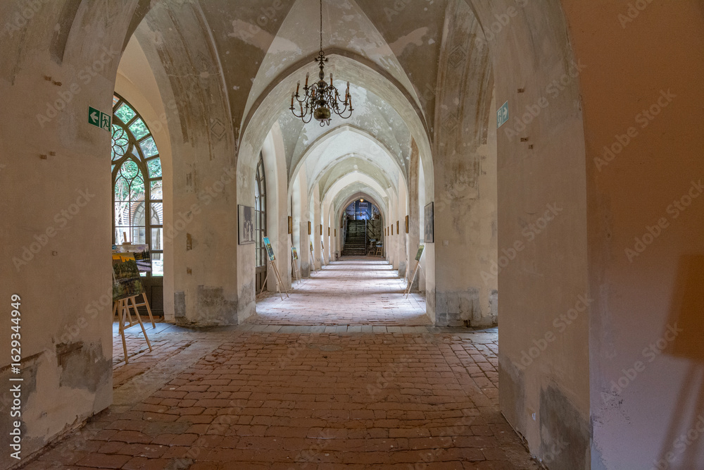 Obraz premium Kamieniec Zabkowicki and its unique palace.