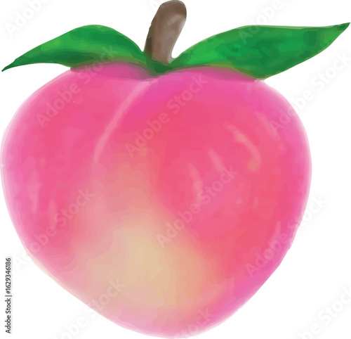 Peach Fruit Pastel Vector Illustration Clipart