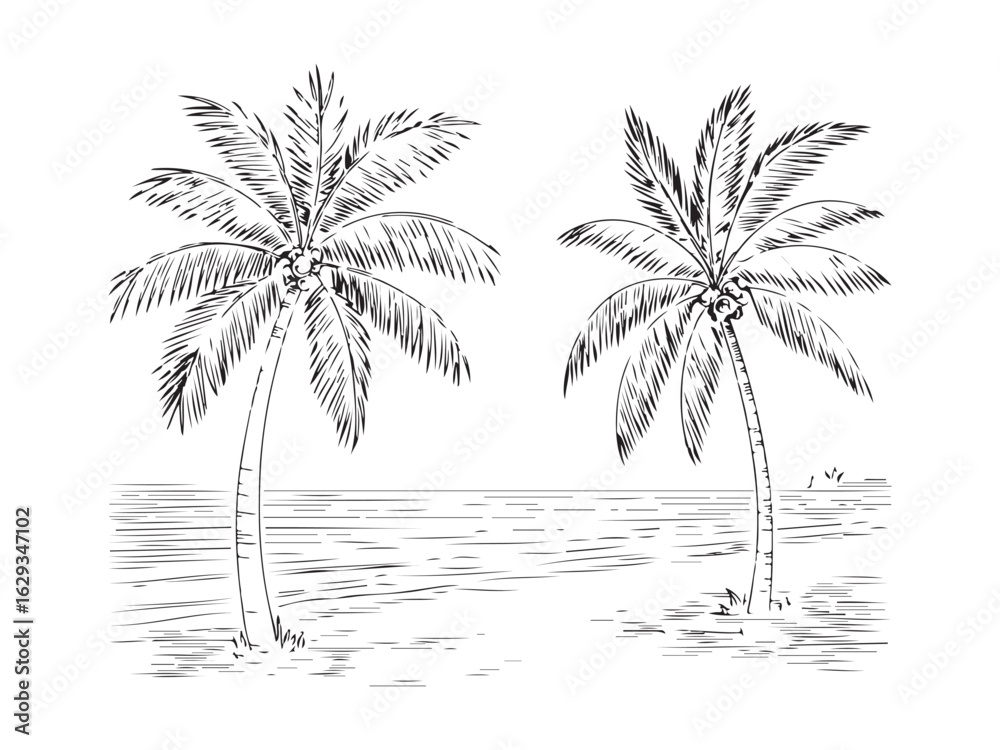 Obraz premium palm trees on the beach engraving outline vector art illustration design, palm tree silhouette, hand drawn beach drawing, line art palm tree, sea, beach, summer view, vintage palm tree on sea beach.