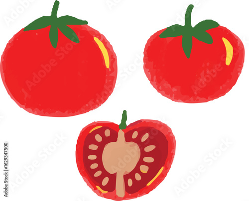Red Tomato Vegetable Vector Illustration Clipart