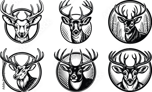 Deer Head Isolated on White Background – Realistic Wildlife Taxidermy, Animal Trophy Wall Mount, Stag Antlers, Forest Animal Portrait for Nature, Hunting, Rustic, or Cabin Decor Concepts

