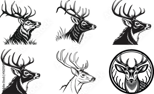 Deer Head Isolated on White Background – Realistic Wildlife Taxidermy, Animal Trophy Wall Mount, Stag Antlers, Forest Animal Portrait for Nature, Hunting, Rustic, or Cabin Decor Concepts

