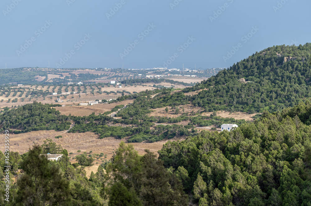 Fototapeta premium Paysage rural dans le nord-est de la Tunisie