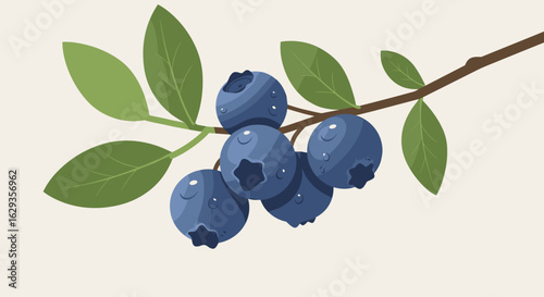 Blueberries on branch with green leaves against light background  