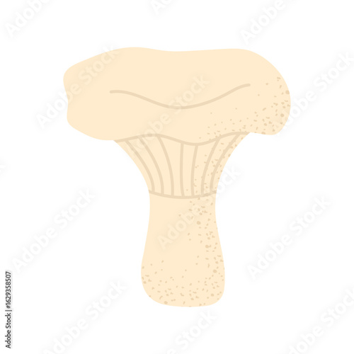 Milk mushroom. Vector on transparent background