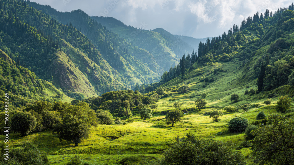 Obraz premium Lush Green Hills and Mountains under Cloudy Sky Perfect for Landscape Photography Nature Tourism and Environmental Posters