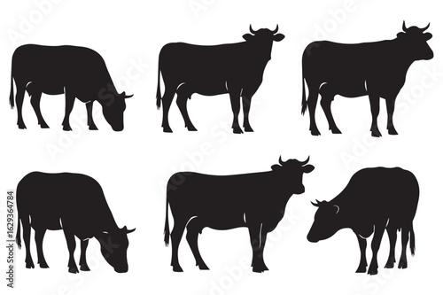 Vector art of silhouette images of cows in various positions standing and grazing in a field representing farm animals