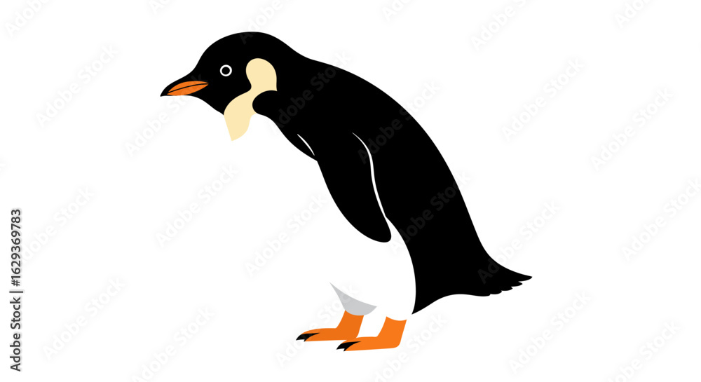 Fototapeta premium Graphic vector illustration of a cute standing penguin isolated on a white background. Adorable Antarctic bird character design.