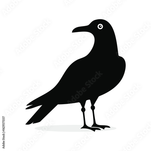 Silhouette of a Black Bird Standing Proudly on its Legs with a Shadow Below it