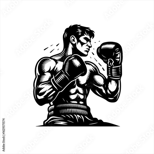 boxing gloves vector illustration