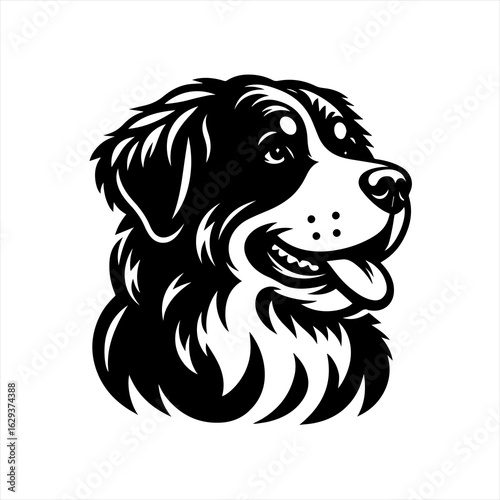 Stylized black and white portrait of a happy bernese mountain dog