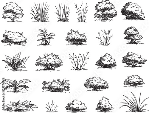 Hand-Drawn Black and White Bush and Plant Illustrations for Design Projects