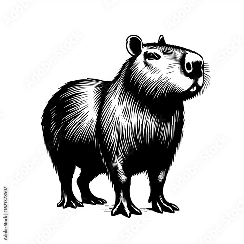 vector illustration of cartoon squirrel