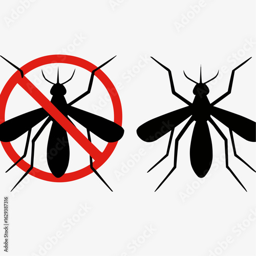 spider and mosquito