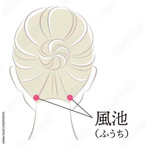ツボ　風池