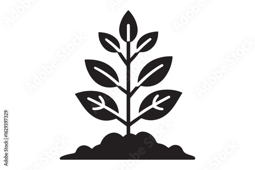 tree with roots 