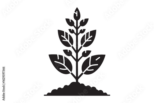 tree with roots 
