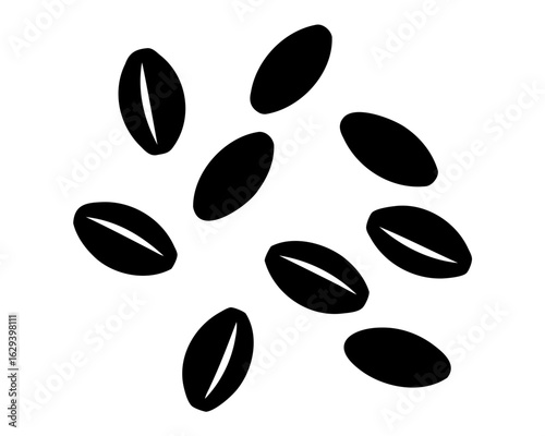 Seeds, Watermelon seeds isolated vector element 