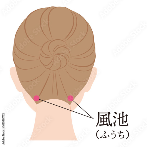 ツボ　風池