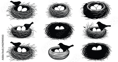 Collection of Black Silhouette Bird Nests with Eggs and Birds animal