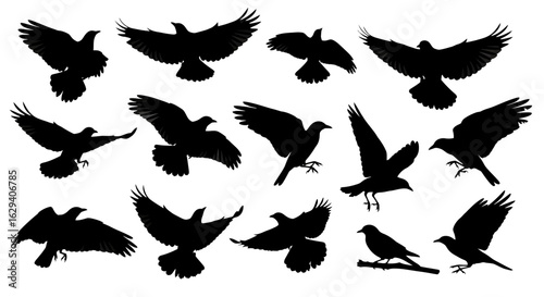 A collection of black crow silhouettes in various flight and perched positions.