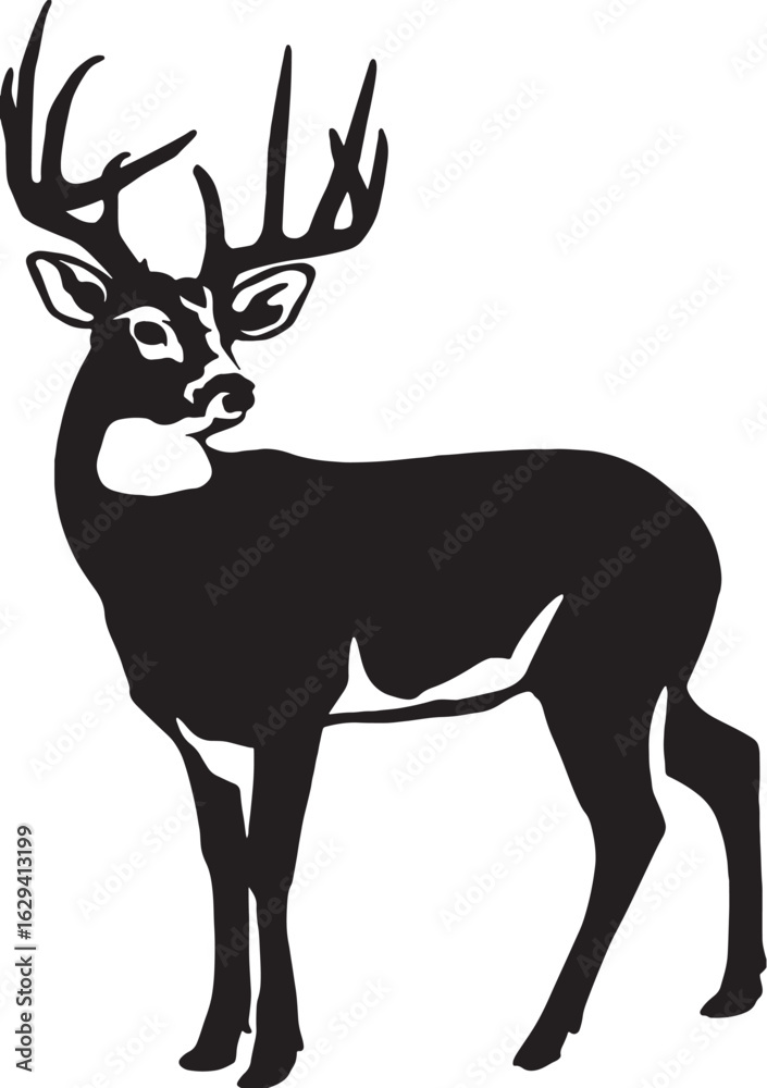 Obraz premium Vector art of majestic deer buck with antlers isolated on white background illustration