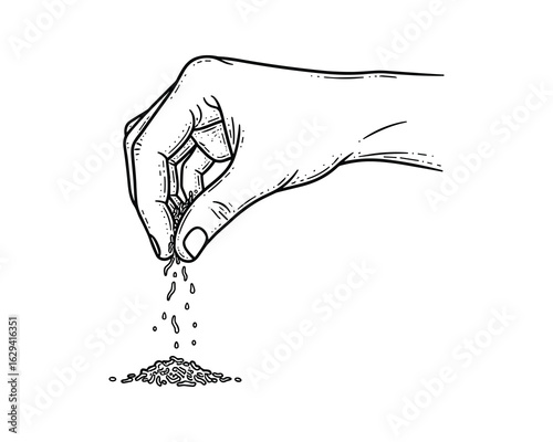 Hand Sprinkling Spices Food Ingredient Culinary Black and White Sketch Vector Illustration