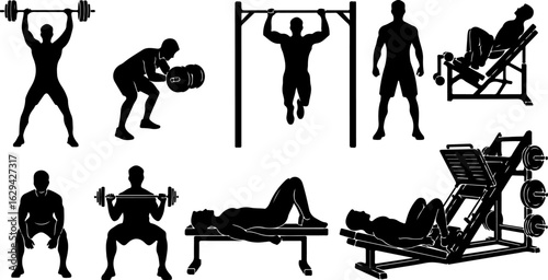 Vector art of silhouettes of people performing various gym exercises and using equipment isolated on white background
