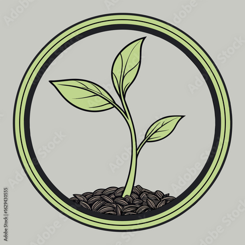 Young green sapling growing from seeds within a circular frame seedling plant