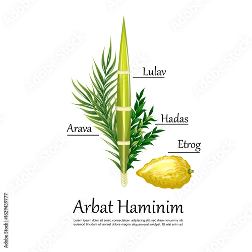 Infographics of plant for Jewish holiday Sukkot.eps