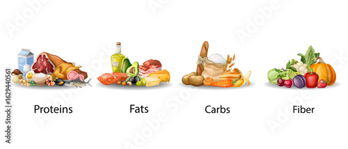 Illustration proteins fats carbohydrates fiber.eps