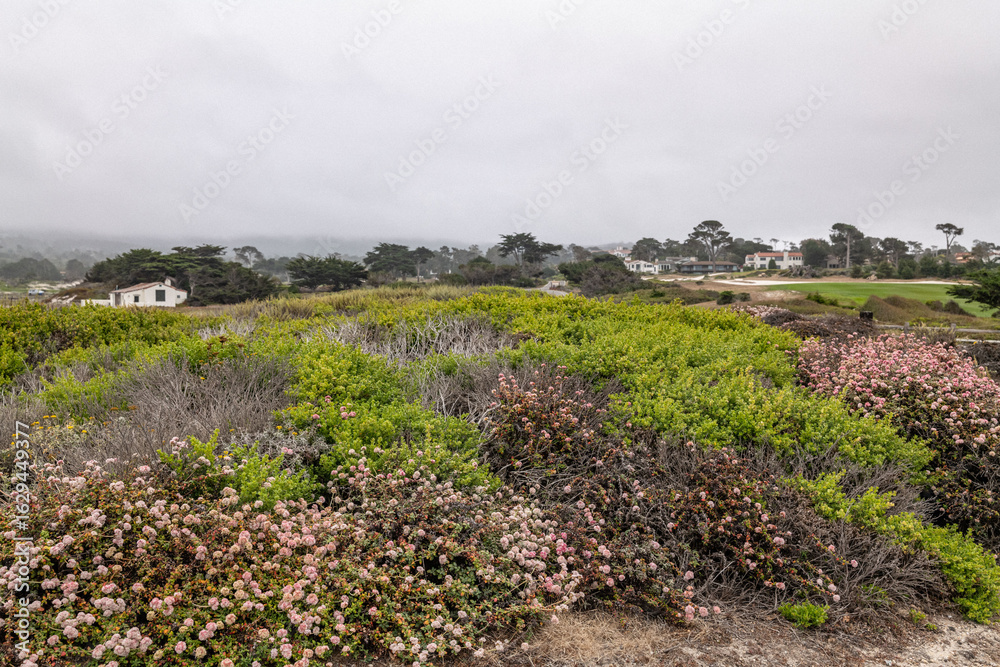 Obraz premium Spanish Bay Vista Point. 17-Mile Drive is a scenic road through Pebble Beach and Pacific Grove on the Monterey Peninsula in California.