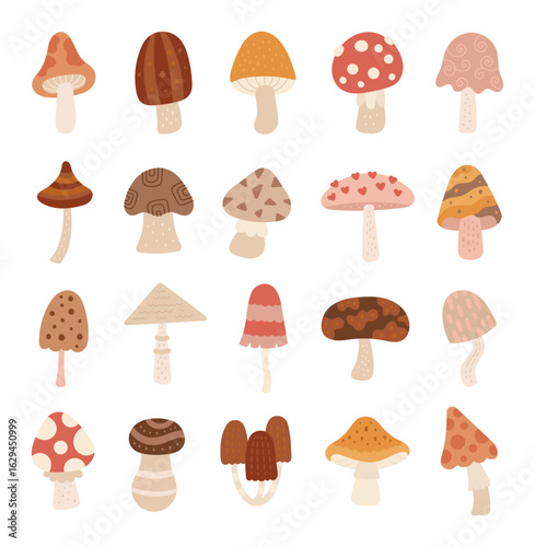 Mushroom set in scandinavian style different shapes, for forest themed seasonal illustrations with natural fungi inspired by wild nature and woodland environment for your creative designs projects