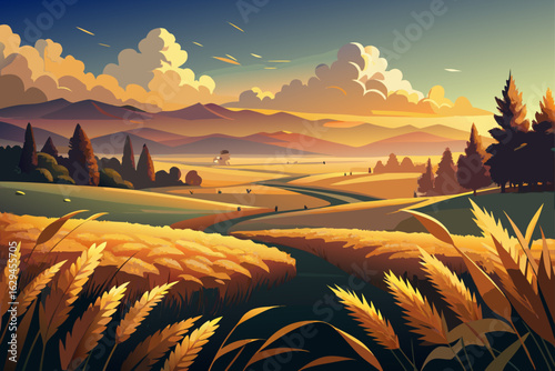 sunset over rice field