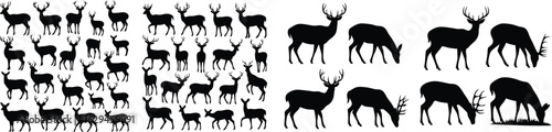 Collection of Deer Silhouettes Featuring Bucks, Does, Fawns Standing and Grazing on White Background