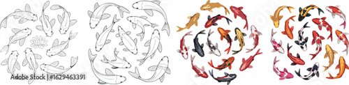 HandDrawn and Colored Koi Fish Set Elegant Japanese Carp Illustration, White Background