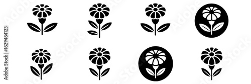 Calendula flower icon set. Black and white vector illustration collection of simple floral graphic design elements. Monochrome, stylized daisy, chamomile blossoms, leaves, circles. Decorative icons, l