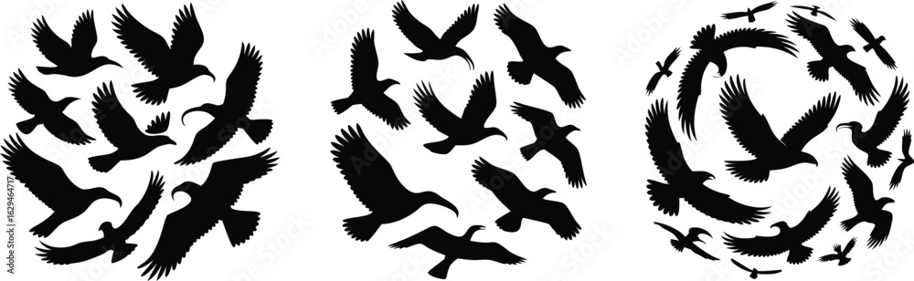 Obraz premium Silhouetted Birds Flying in Circular Formations, Artistic Illustration on White Background