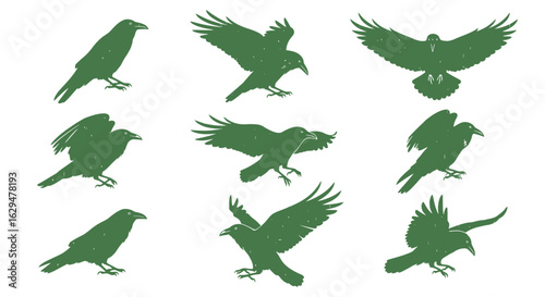 Nine Green Raven Silhouettes in Various Flight Poses