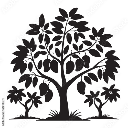 Black and White Mango Tree Silhouette.