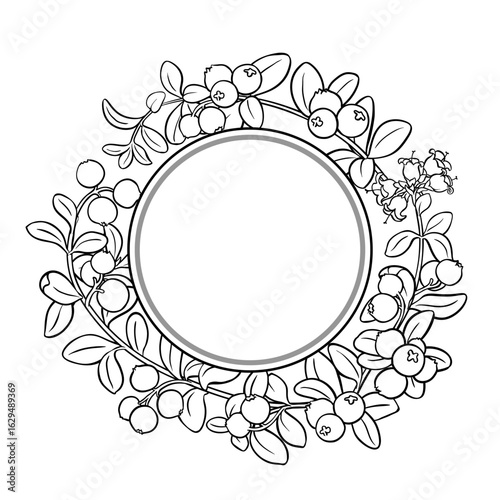 Cranberry Branch with Flowers, Berries and Leaves Outline Round Frame. Organic natural nutritional healthy food ingredient, vegetarian diet product. Vector isolated for design or decoration.