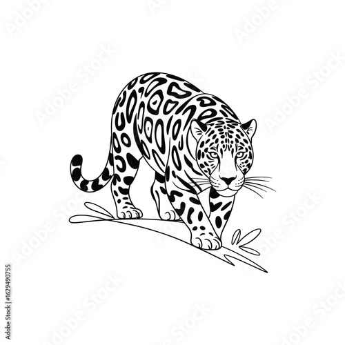 Adobe Illustrator Artwork