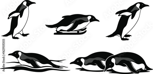 Charming penguins in various playful poses and activities